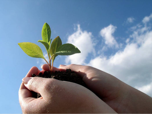 Enviroment & Sustainability