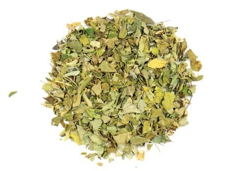 Moringa Mint